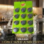 Scourer Brite Stainless Steel Family Jumbo Spiral 12 in 1 Post