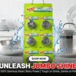 Scourer Brite Stainless Steel Jumbo Spiral 6 in 1 post