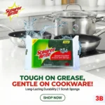 Scourer Brite Large Leminate 1s Packet Social Media Post