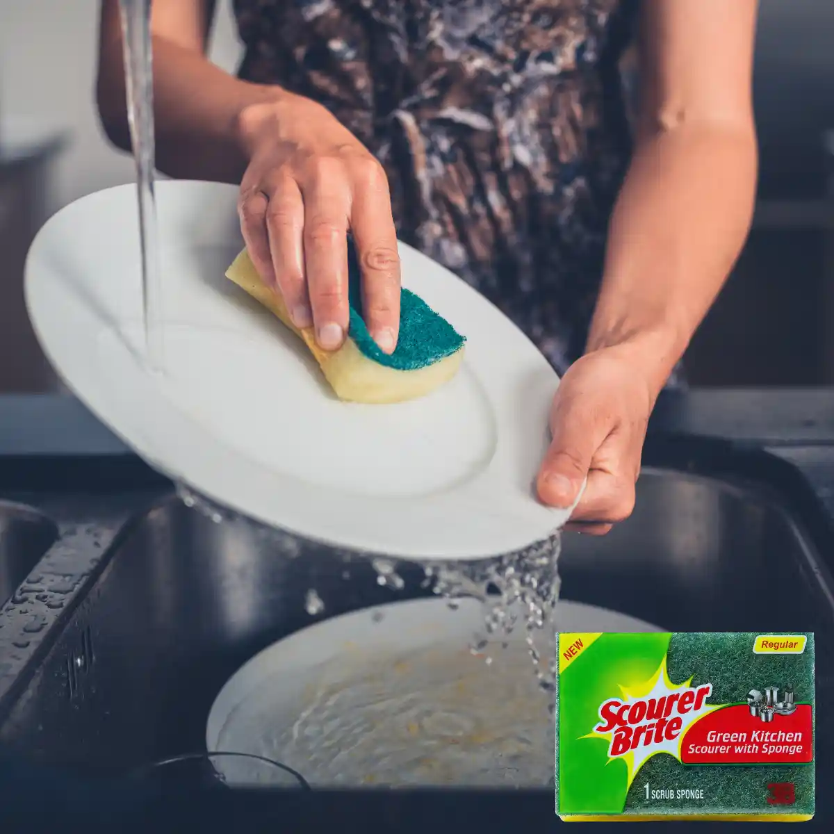 Scourer Brite Regular Sponge 1s Post