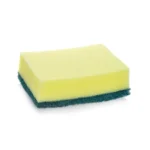 Scourer Brite Regular Sponge 1s Product Slide