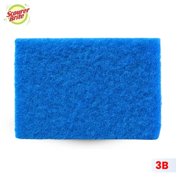 Color Brite Buy Scourer Brite Large Sponge Multi Color 1s In Pakistan