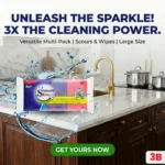 Scourer Brite Sponge Large 3 in 1 Social Media Post